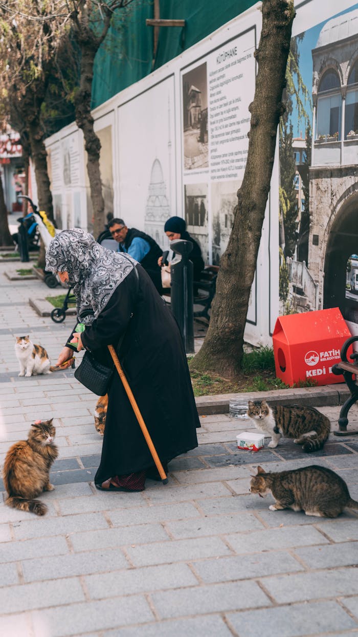 A woman dressed in black feeding stray cats on a city sidewalk with people in the background.